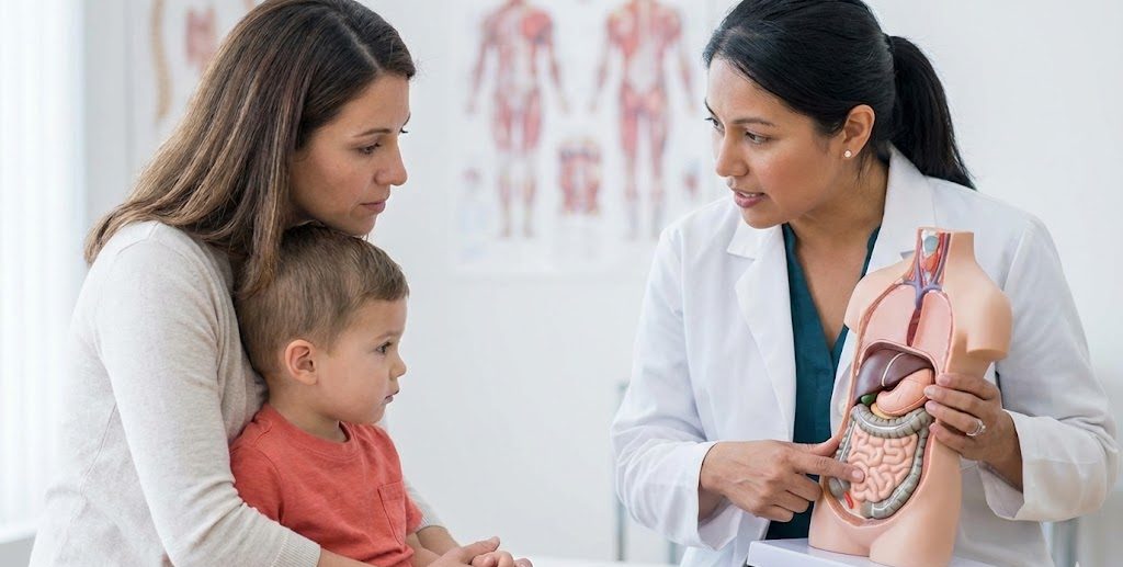 HML 1 e1772020188701